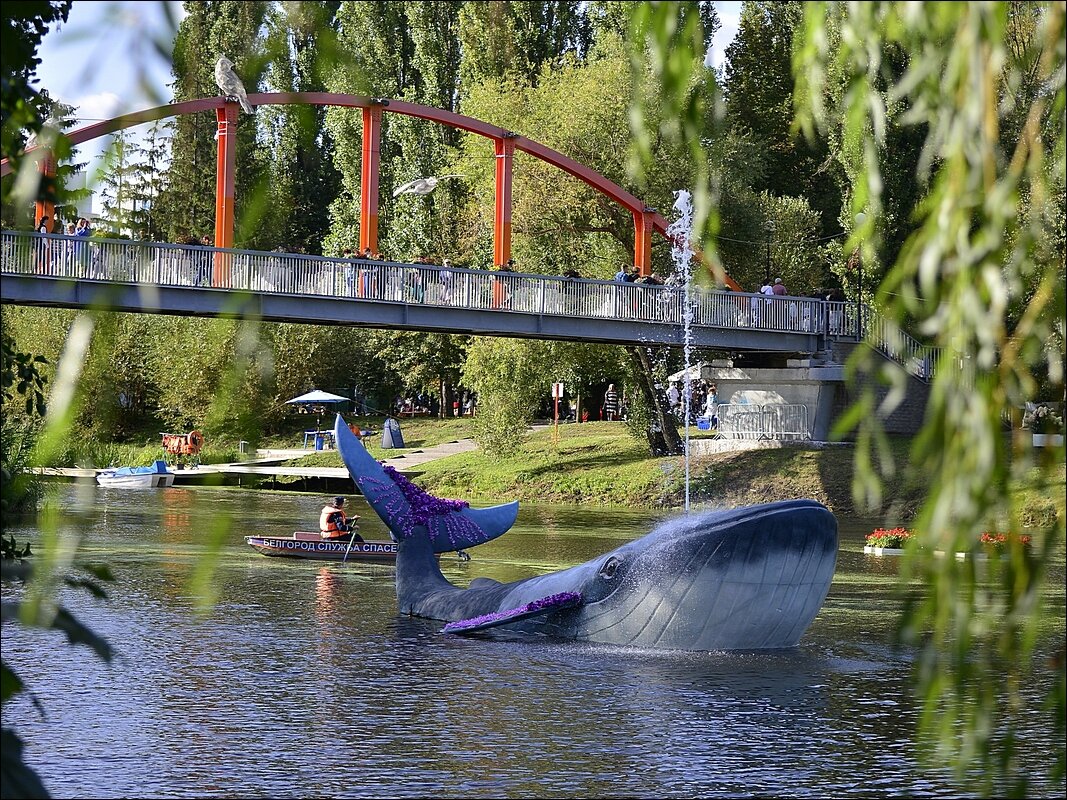 Фонтанчик - Сеня Белгородский