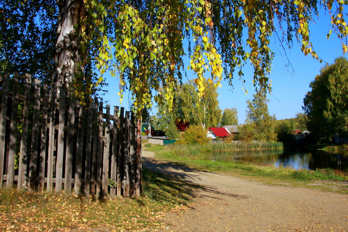 Осень в поселке Н... - Нэля Лысенко