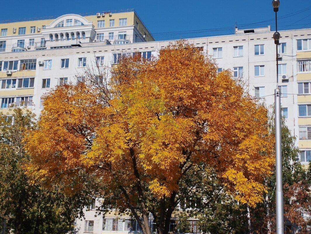 В городе осень... - Павел Петров