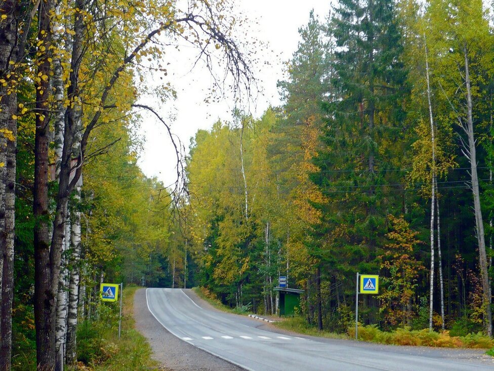 Дорога среди осени - Вера Щукина