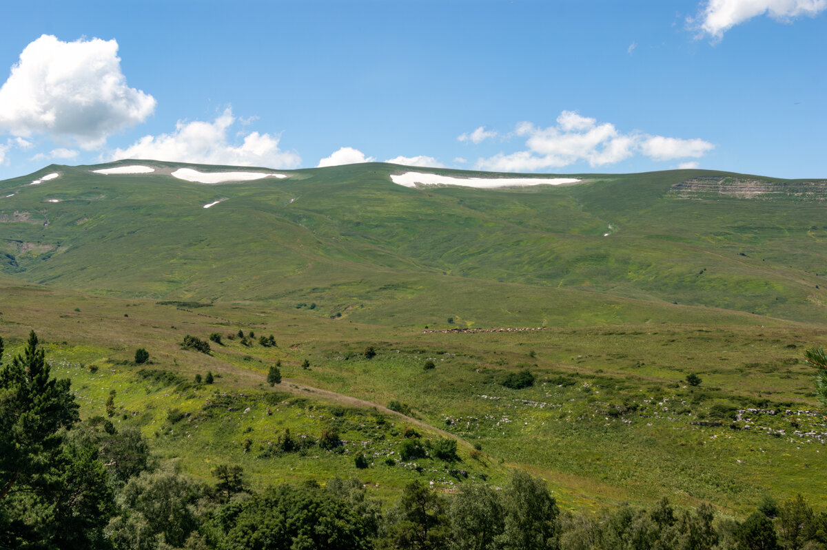 Лаго-Наки - Игорь Сикорский