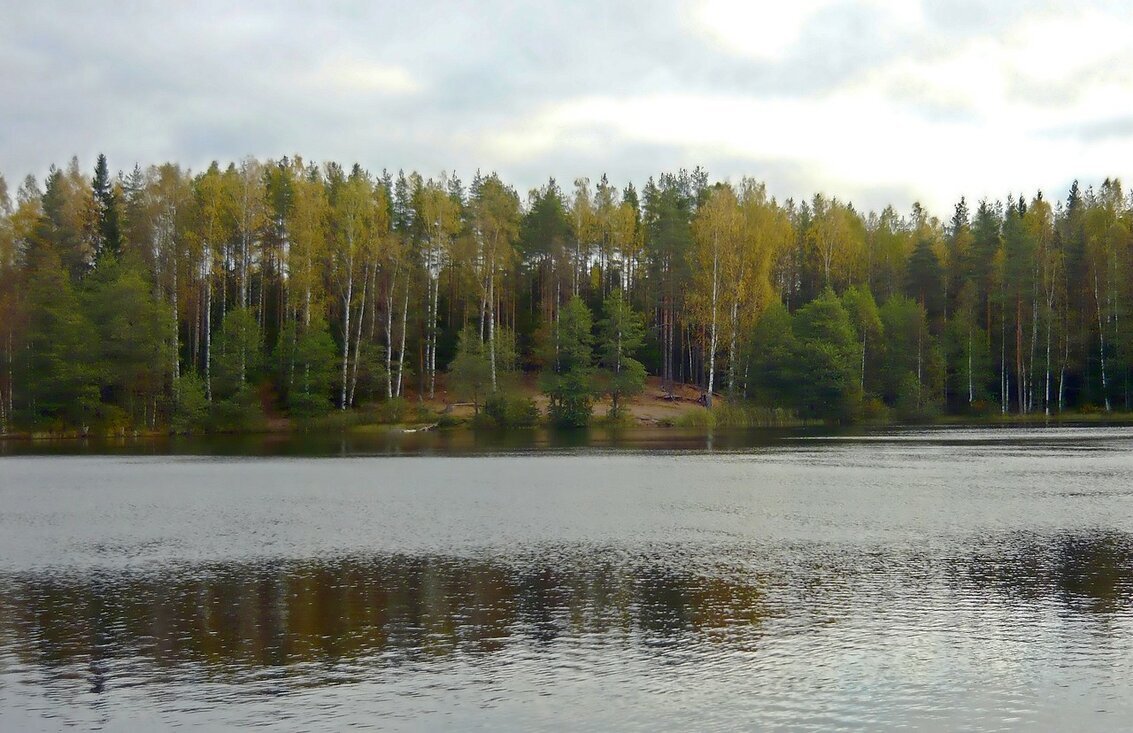 Осень у озера - Вера Щукина