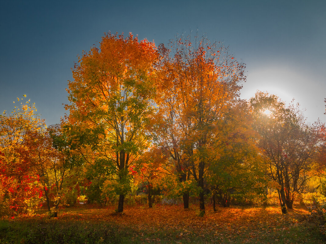 Осень - Евгений Анисимов