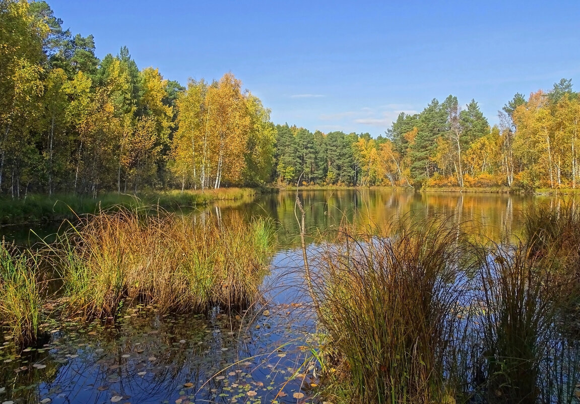 Осеннее озеро - Valentina Kolotovkina