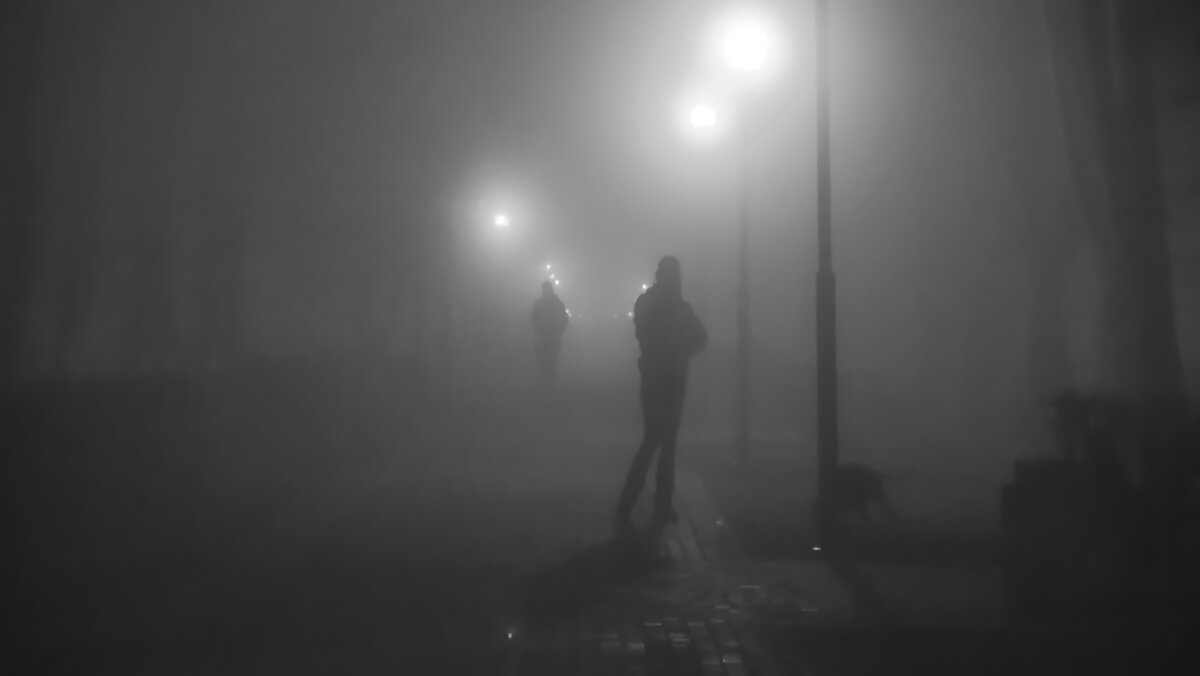 ---foggy night--- - AL 
