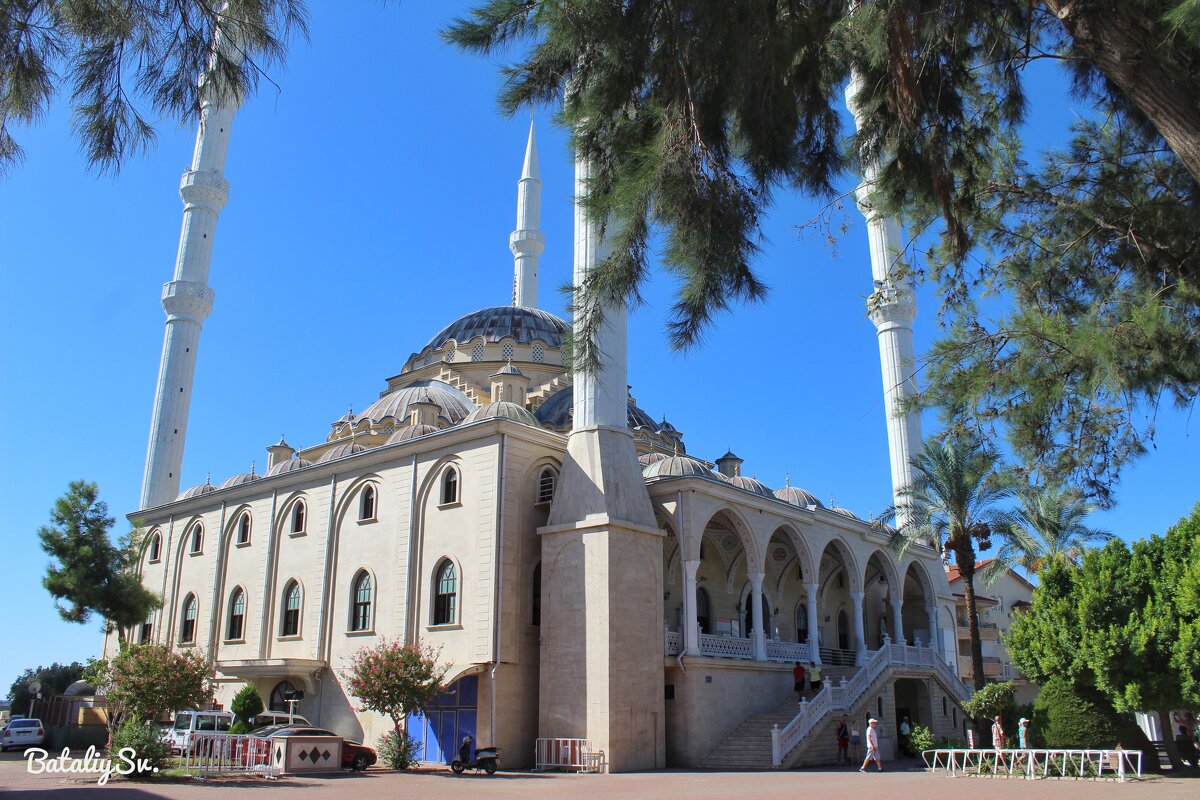 мечеть Merkez Külliye Camii - Светлана Баталий