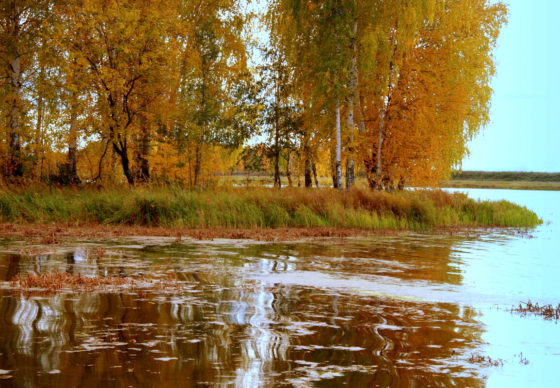 Осенняя акварель - Нэля Лысенко