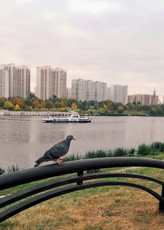 В Марьино. Москва. - Лютый Дровосек