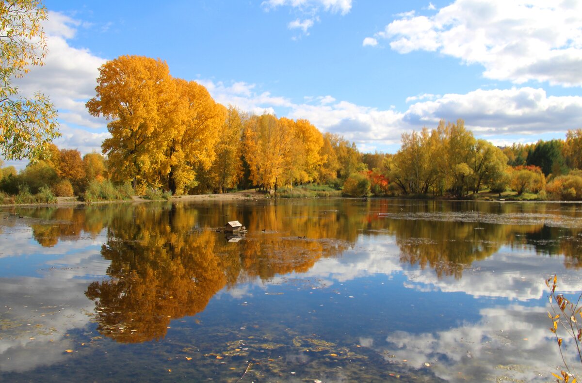 Осень на озере - владимир тимошенко 