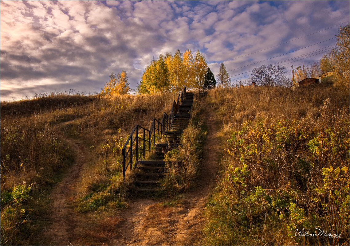 "Осень на подъеме. Выбор"© - Владимир Макаров