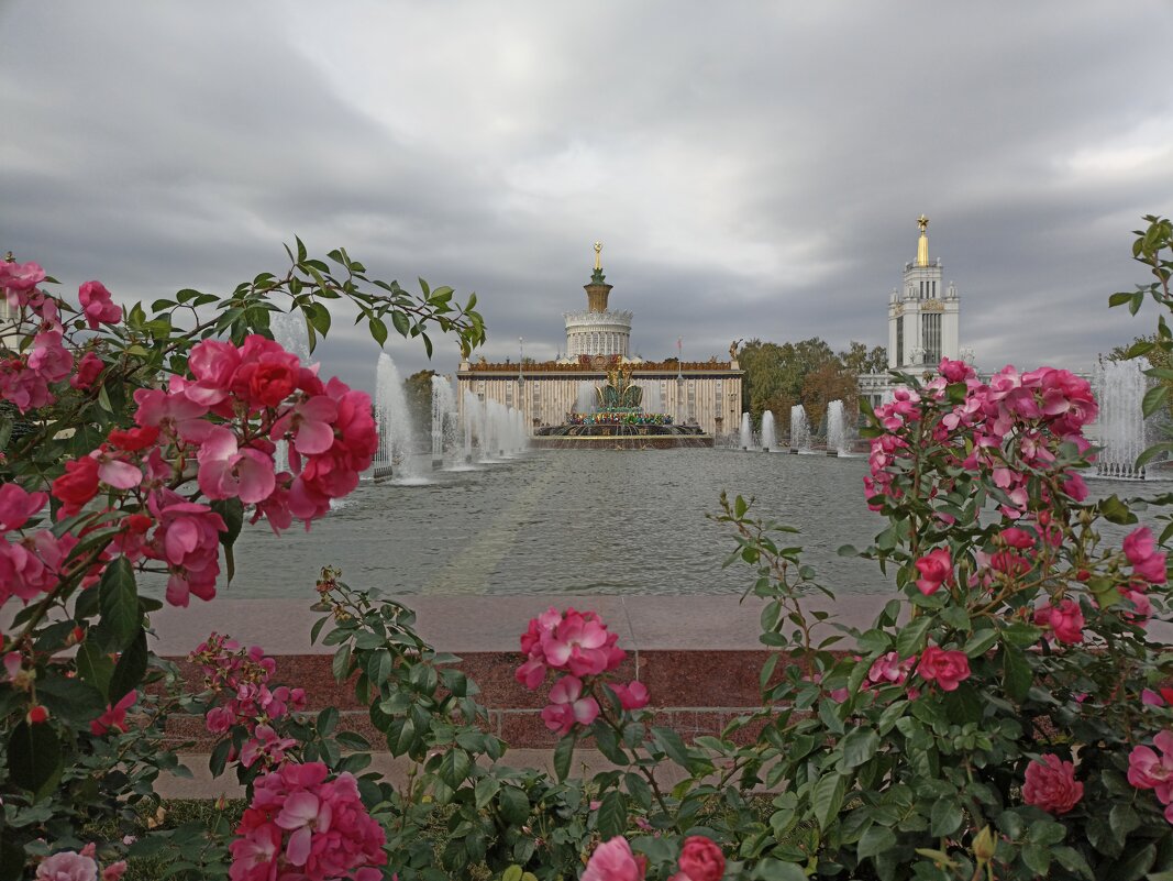 Розы и фонтаны - Татьяна Тюменка