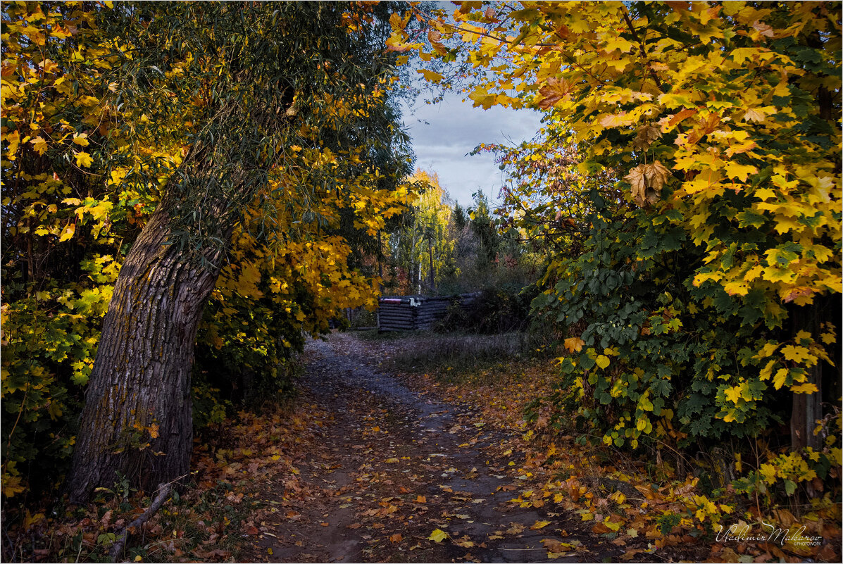 "Осенний портал"© - Владимир Макаров