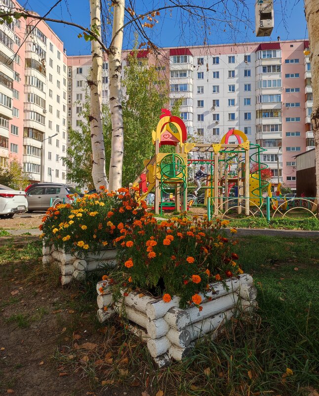 Осень  в городе - Татьяна 