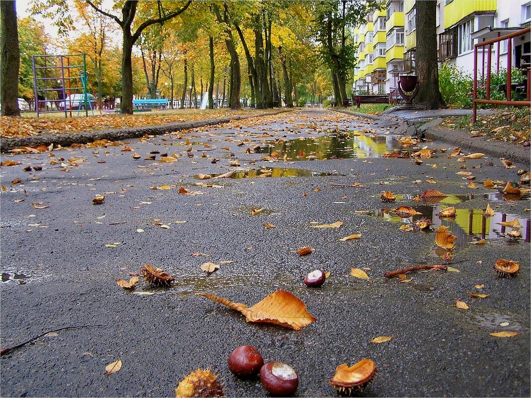Осень - Геннадий Худолеев Худолеев