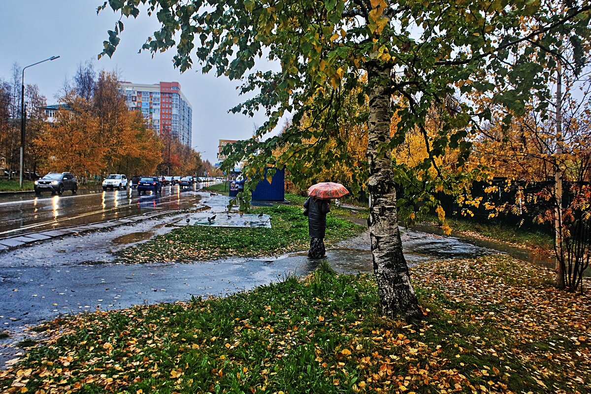 Октябрь...Дождливое утро в городе! - Владимир 