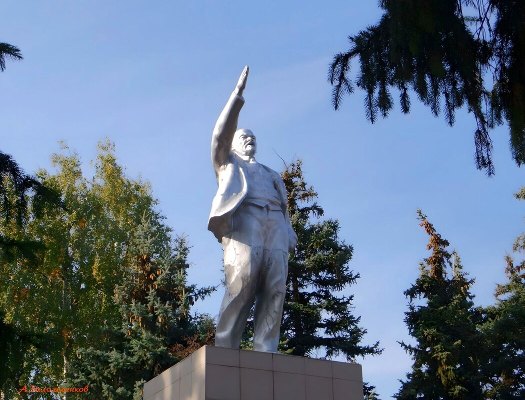 Товарищи, идите скорее в ельничек, там преотличные рыжички!  :-) - Андрей Заломленков