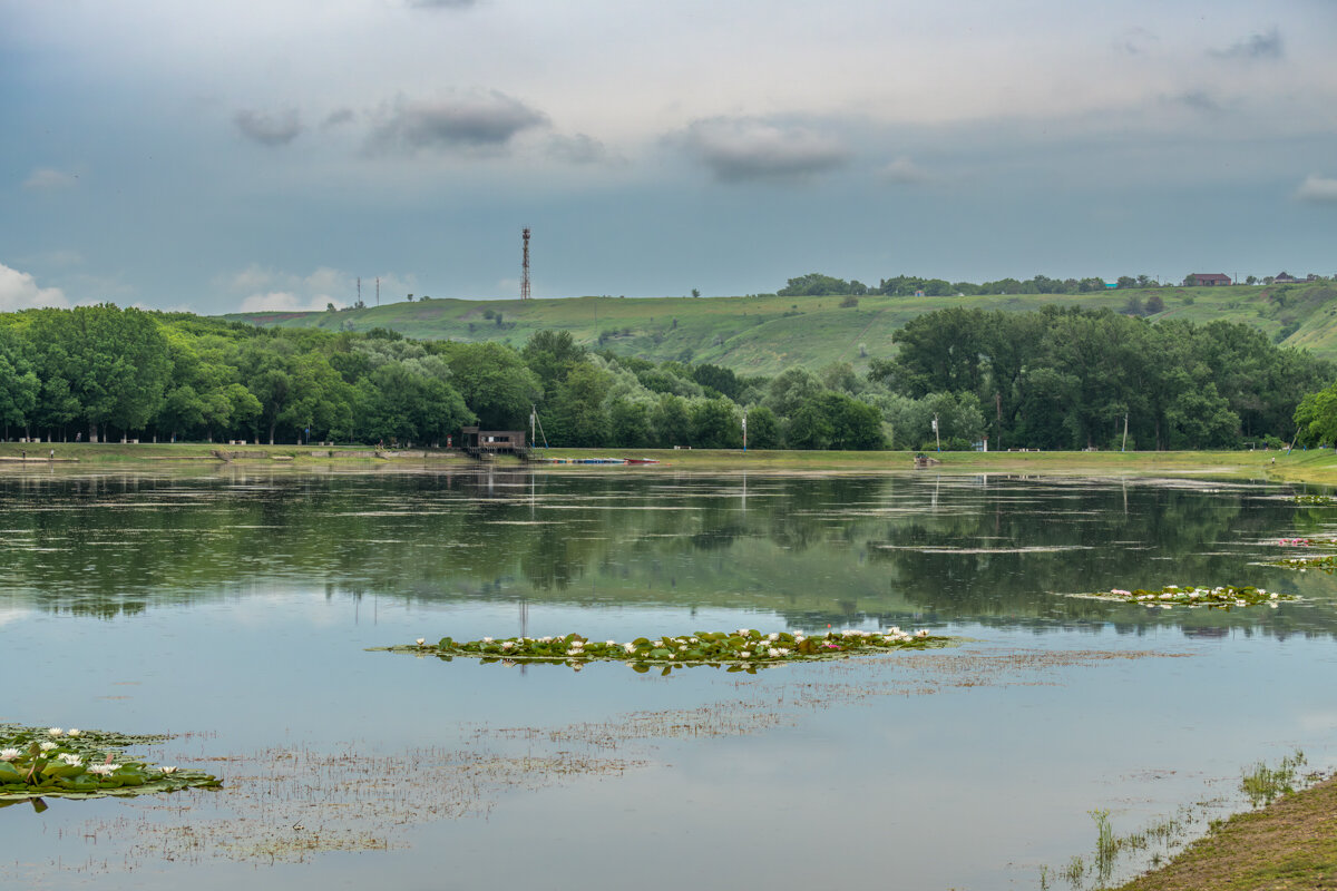 Городское болото, а не водохранилище - Игорь Сикорский