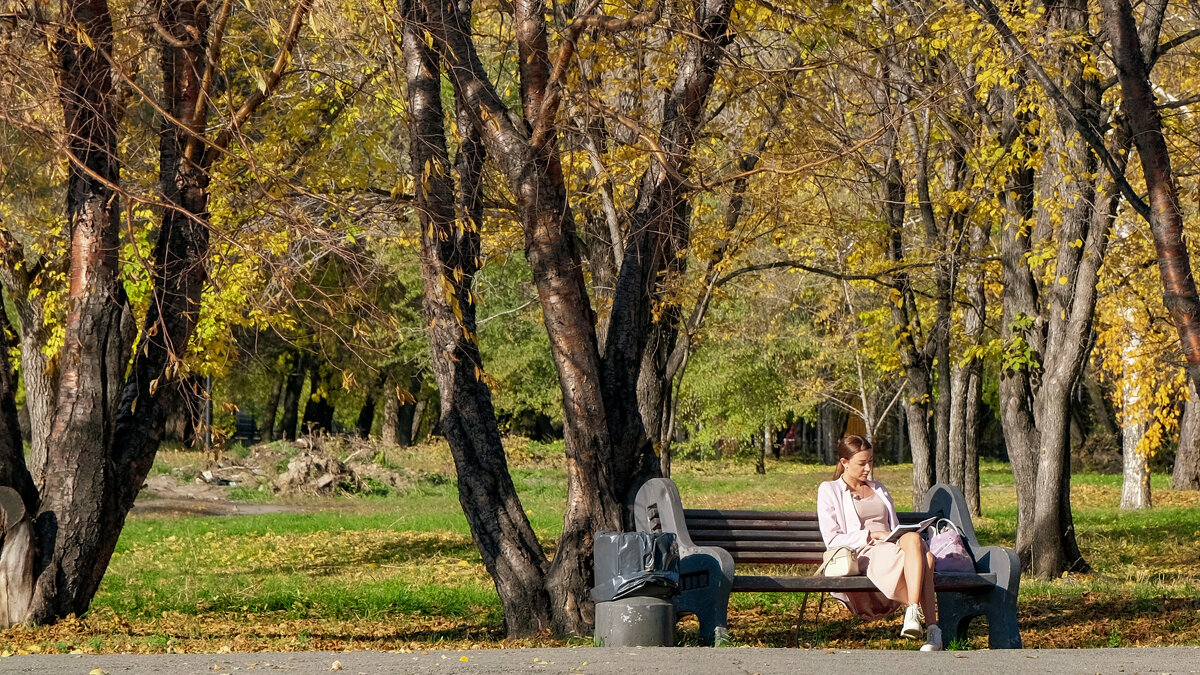 Парк в октябре - Dmitry i Mary S