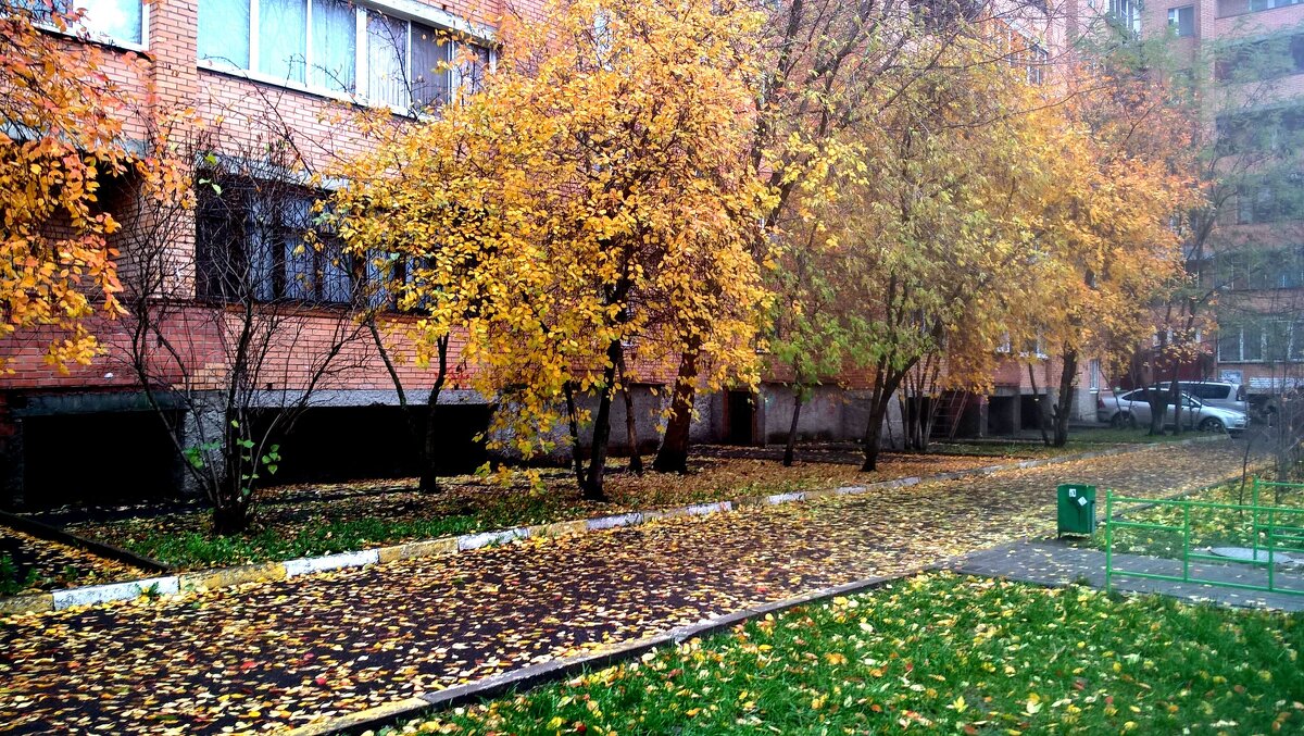 Осень в городе - Елена Семигина