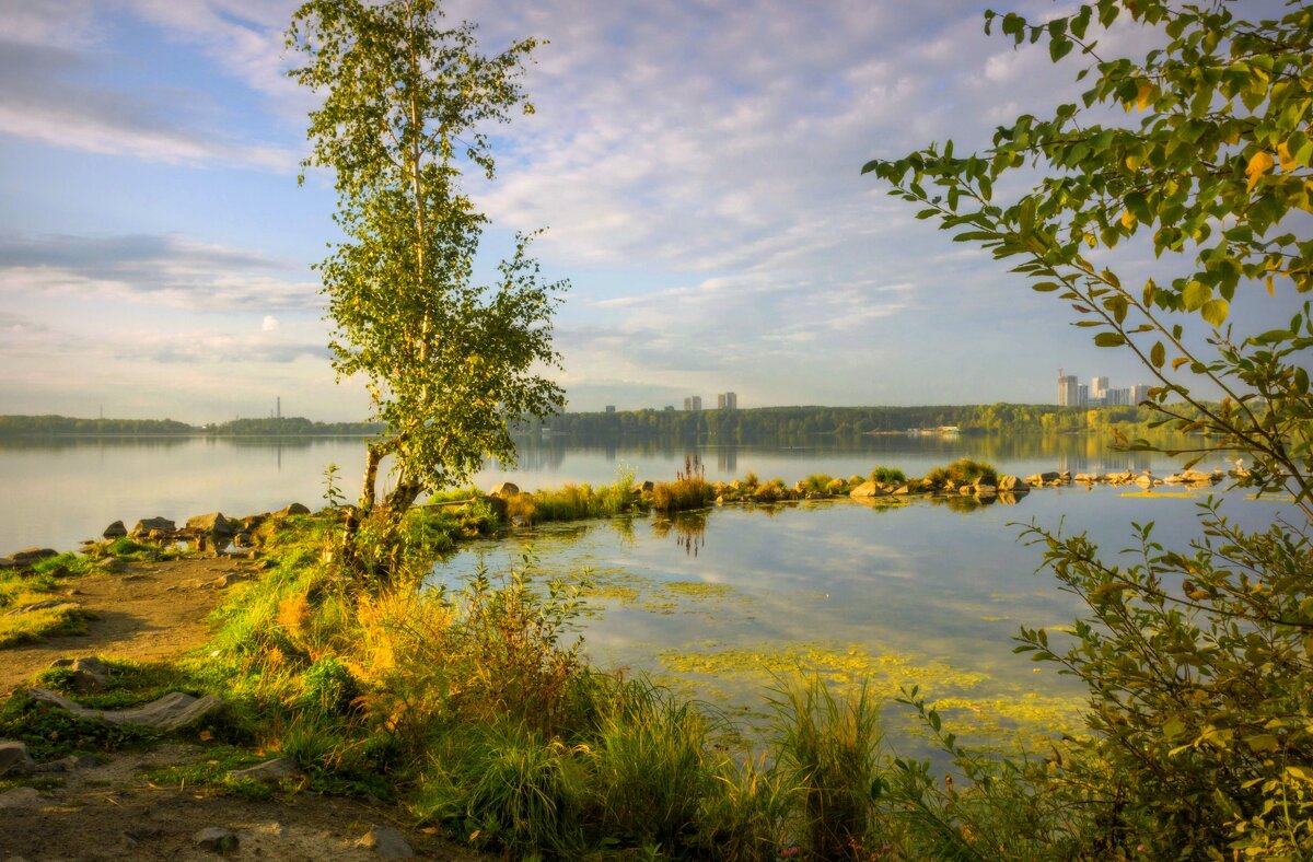Утро на озере - Наталья 
