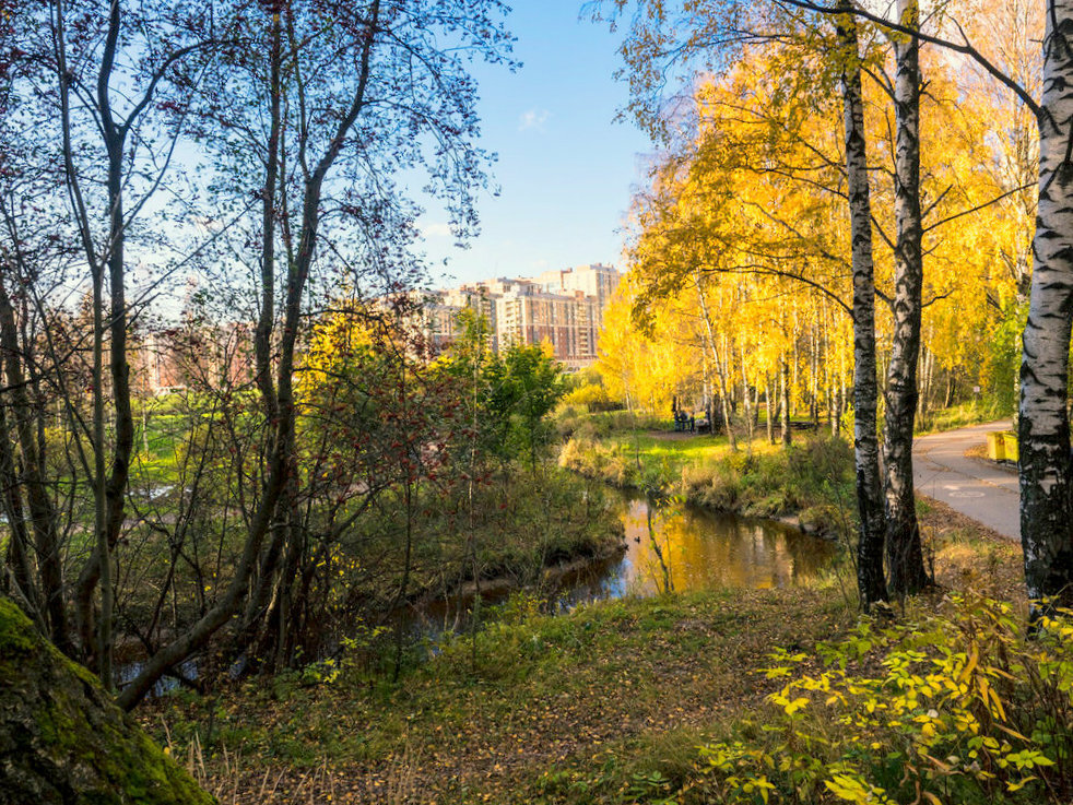 Осень в парке Новый Оккервиль - Юрий Велицкий