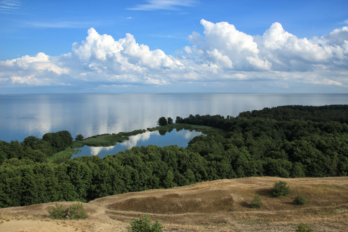 Озеро Лебедь на Куршской косе - Oleg S