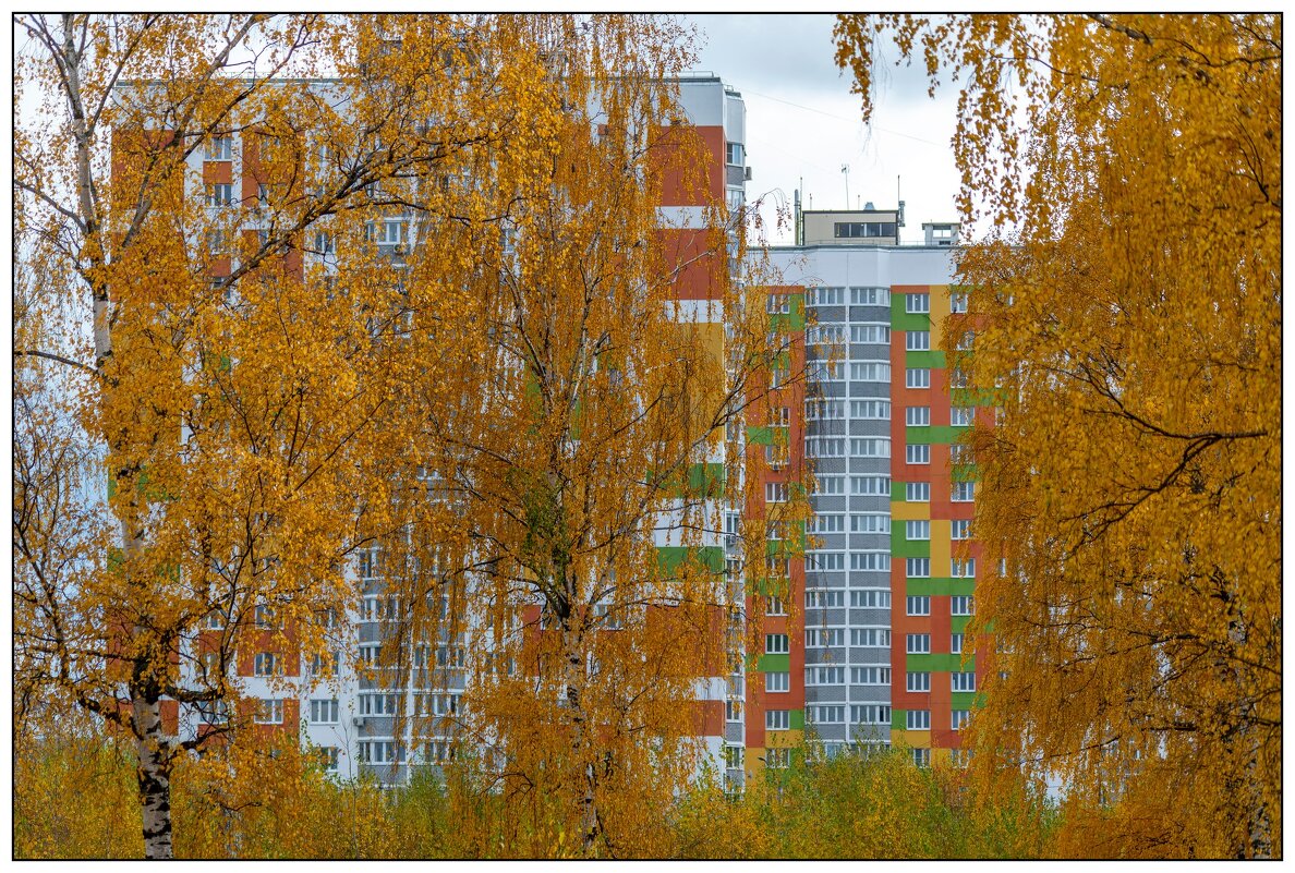 Осень в городе - Игорь Волков