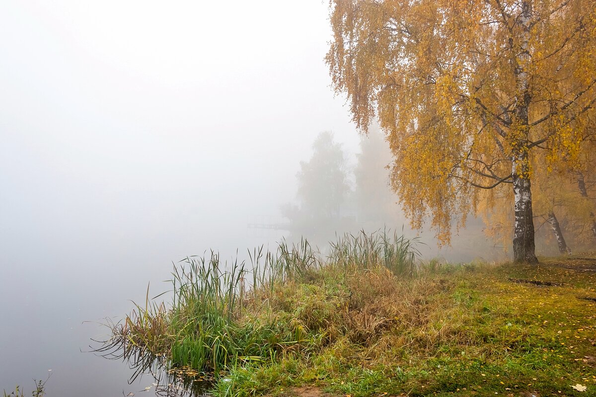 Осенний берег реки