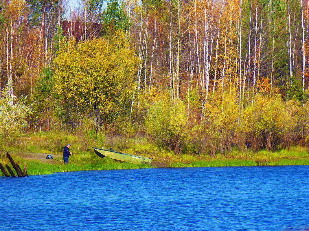 Осень у лесного озера! - Владимир 
