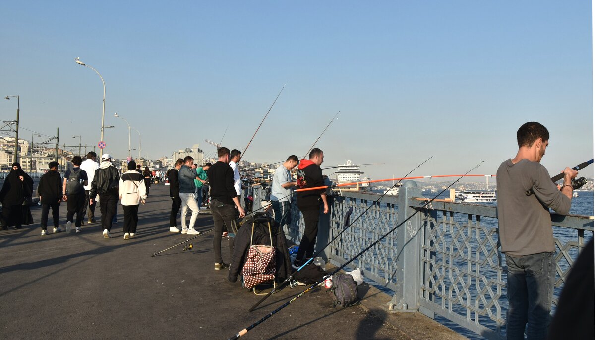 Рыбаки на Галатском мосту. - Татьяна 