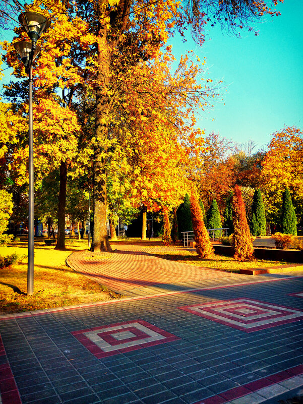 Осень в городе - Сергей Землянский