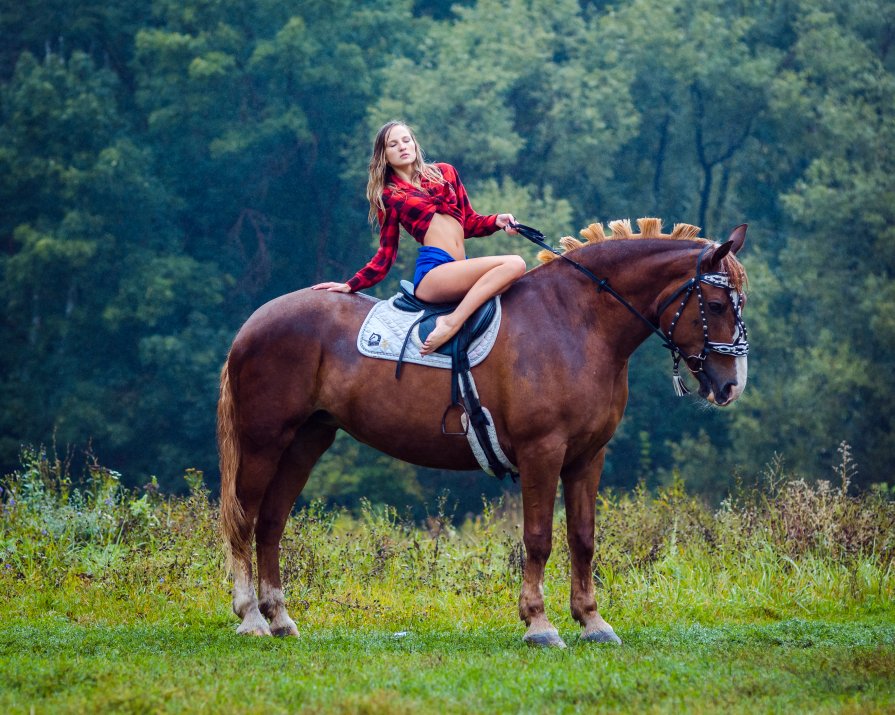 A girl, a horse and rain... - Vladimir Vagner