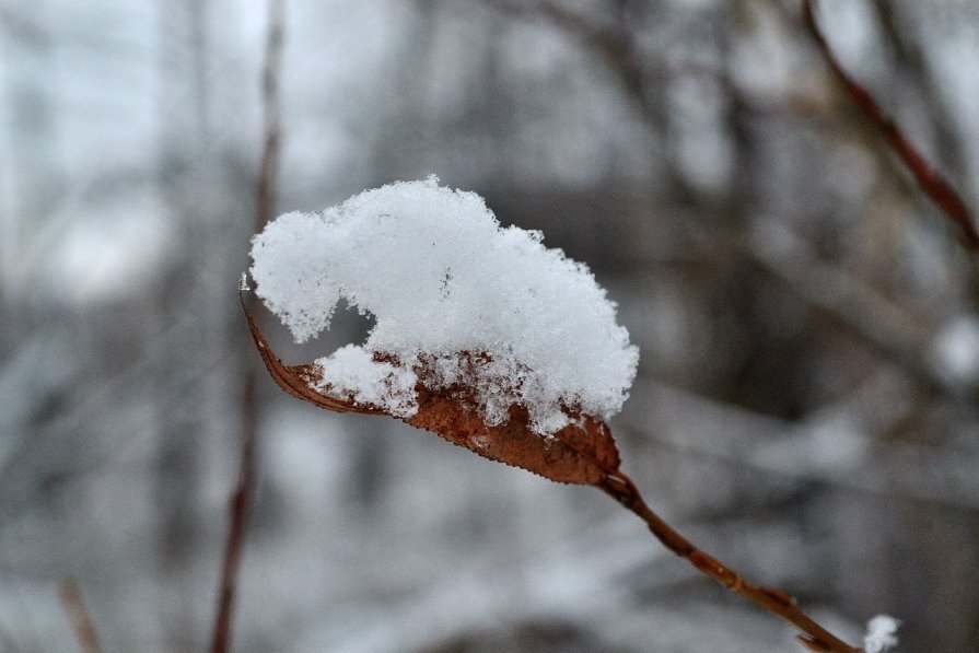 ледяной снег - Ася Гупало