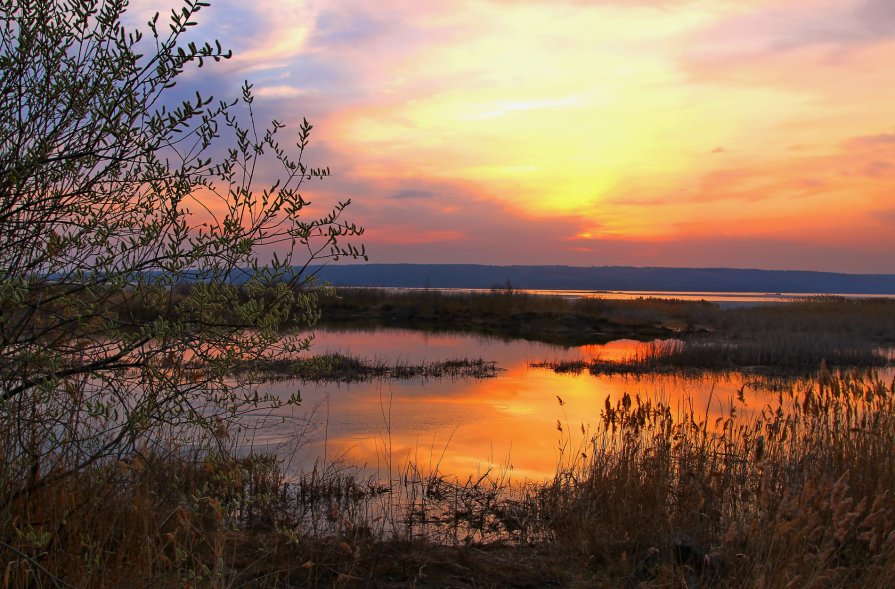 ## - Николай Курганов