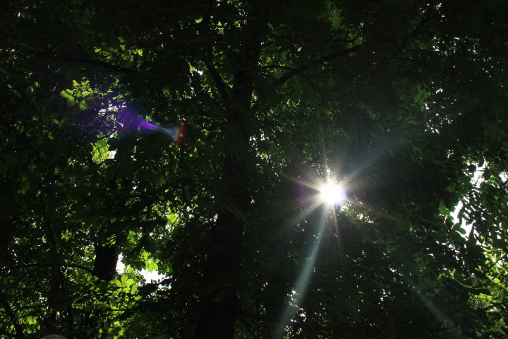 One of most sunny day - Мария Полосина