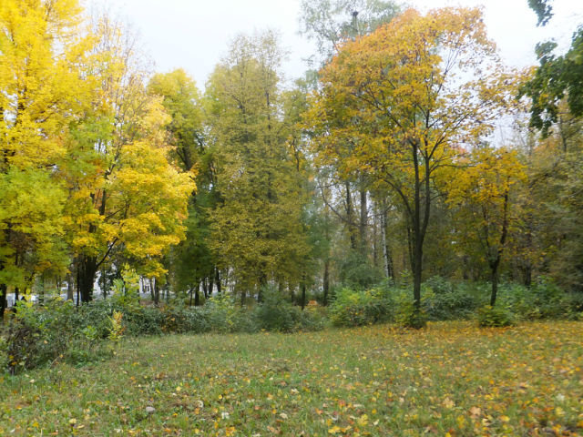 Осенний парк - Виктория Булат