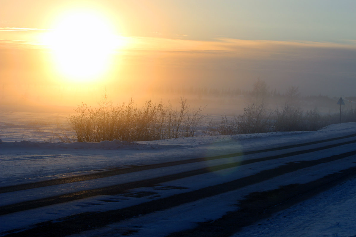Туман у дороги - Виталий 