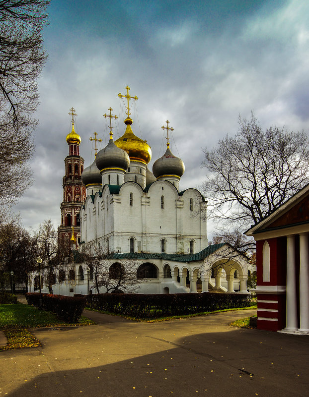 в новодевичьем - Александр Шурпаков