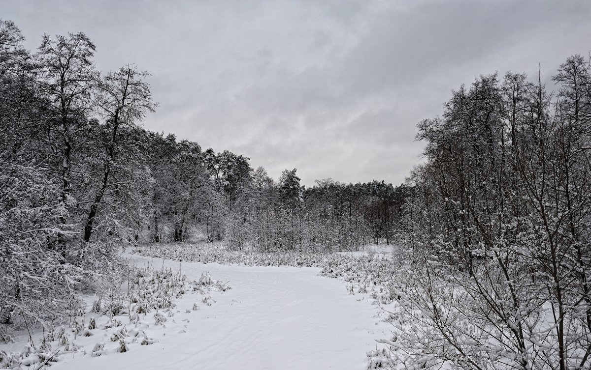 Зимний пейзаж - Aleks 