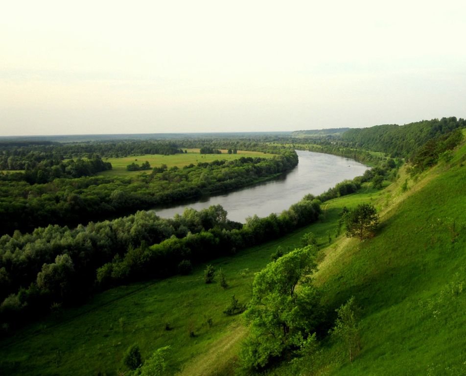 Река Десна летом - wert wert