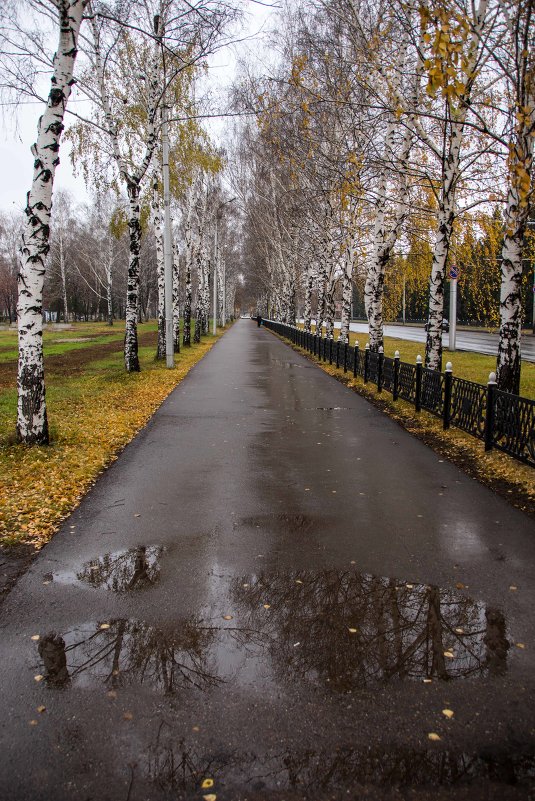 Дождливая погода - Андрей Мичурин