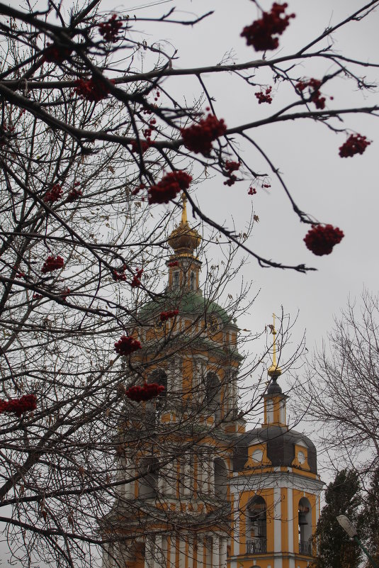 Новоспасский монастырь - Ирина Wonderland