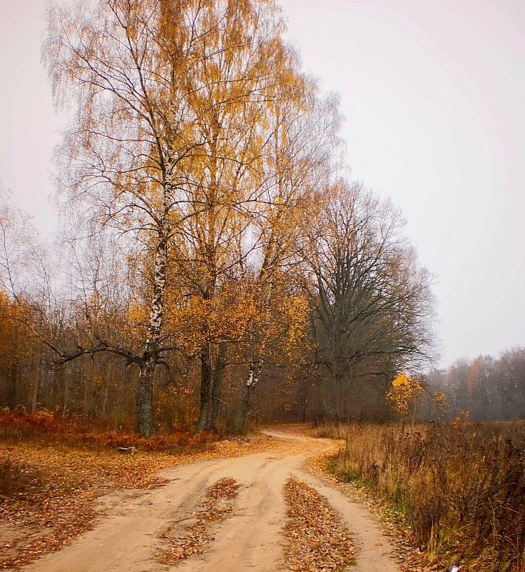 ДОРОГА В ОСЕНЬ ... - Алла Борисовна Журавель