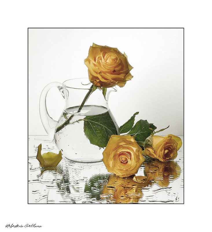 Жёлтые розы - Светлана Л.