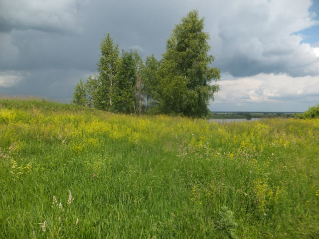 Перед грозой - Виктория Булат