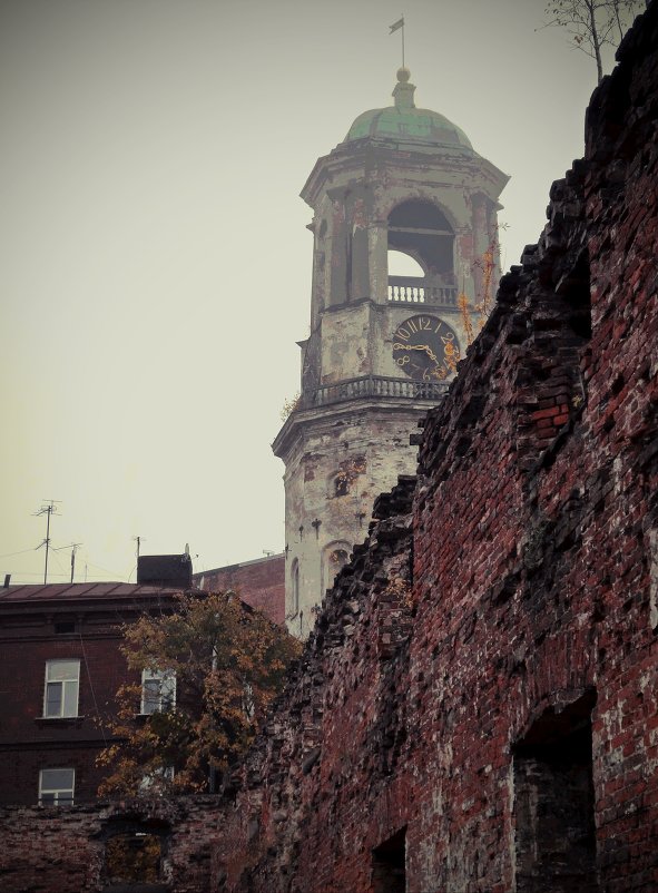 Часовая башня через пролом в стене Старого кафедерального собора (Выборг) - Евгений Жиляев