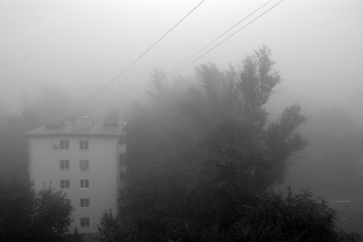Туман - Екатерина Соаха