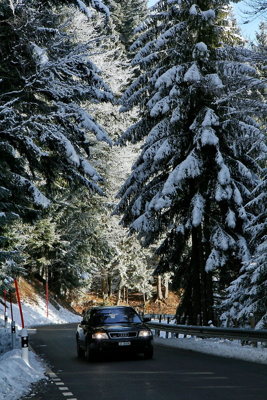 Зимняя дорога в Альпах - Margarta Kushnirenko