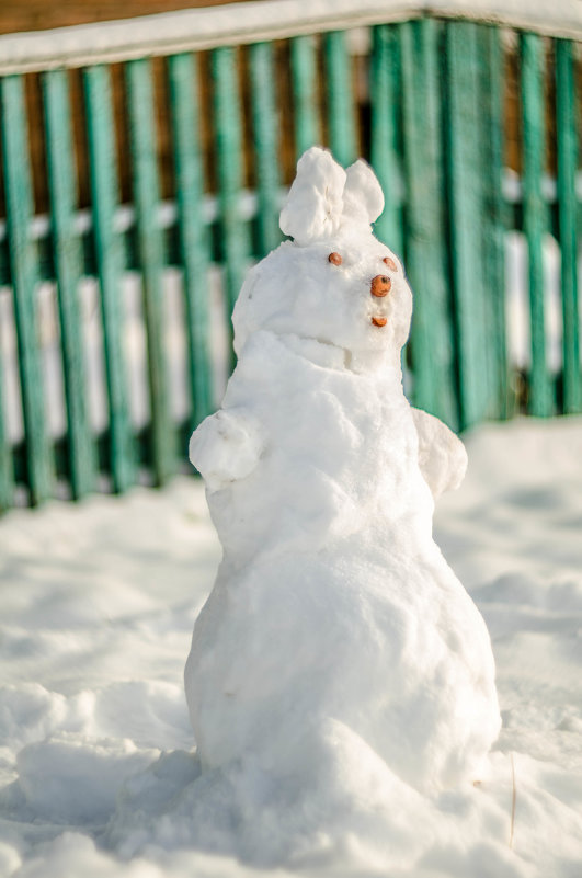 Толи снеговик, толи заяц белоснежный - Milena 
