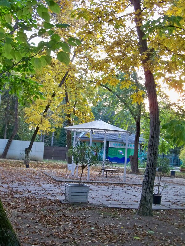 Осень в детском парке - Валентин Семчишин